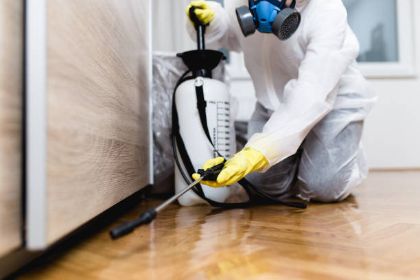 Best Affordable Pest Control Services  in Westlake, TX