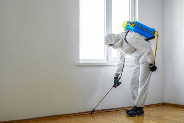 Best Pest Control Near Me in Westlake, TX