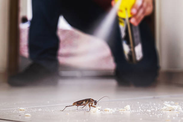 Best Affordable Pest Control Services  in Westlake, TX