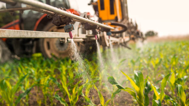 Best Mosquito Control Services  in Westlake, TX